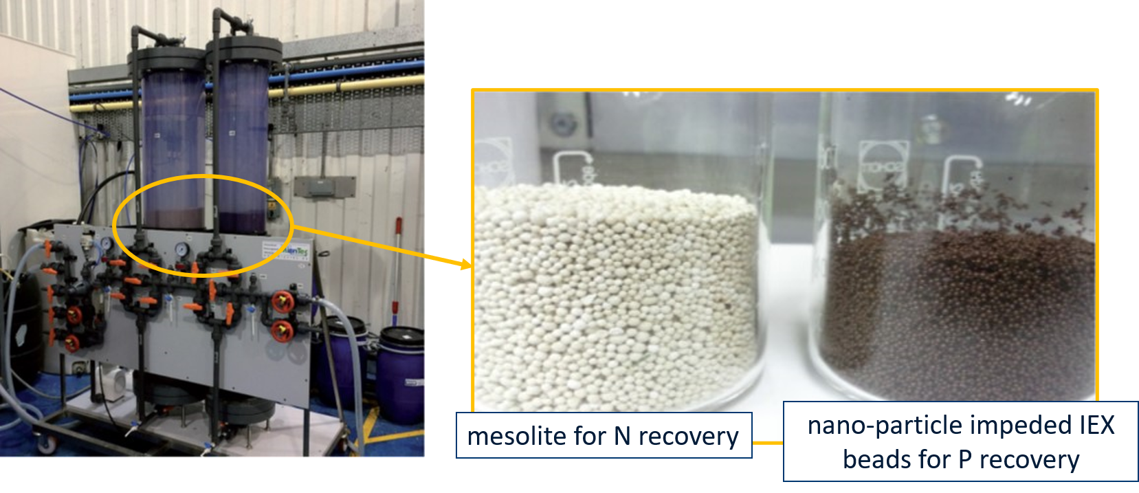 Ion exchange process with 2 columns for N and P removal