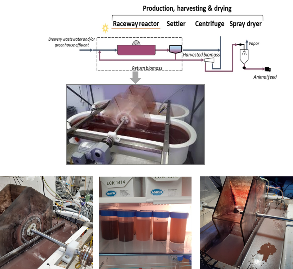 PBR system and protein production on LaTrappe site